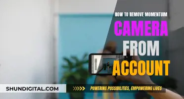 Removing Momentum Cameras: A Step-by-Step Guide for Your Account