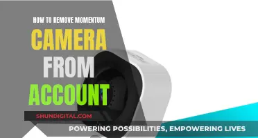 Removing Momentum Cameras: A Step-by-Step Account Guide