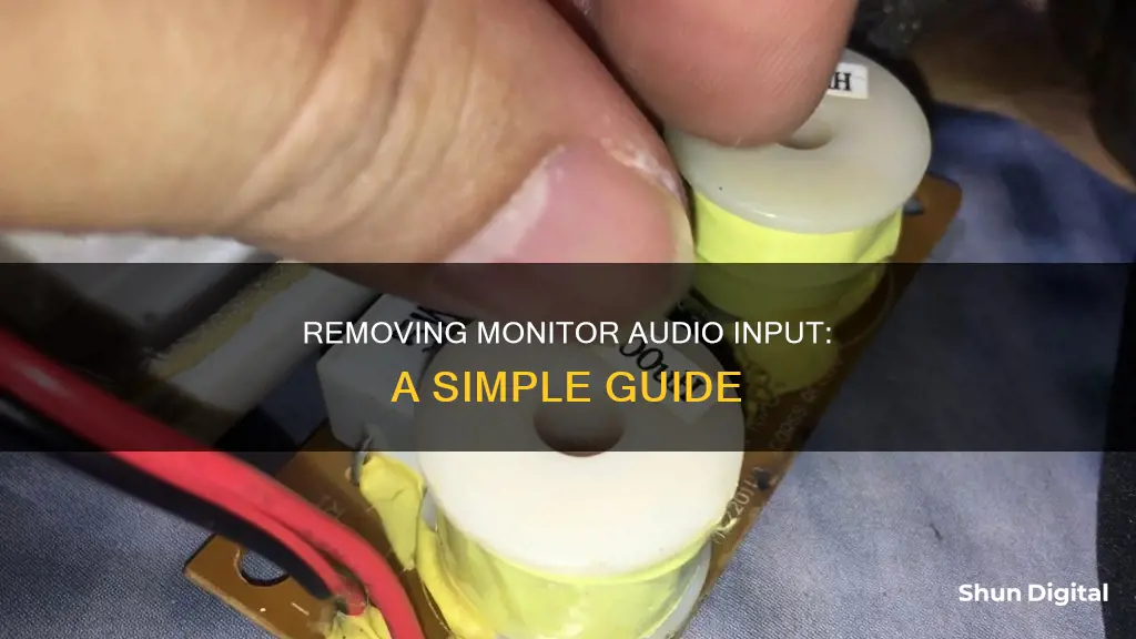 how to remove monitor as audio input device