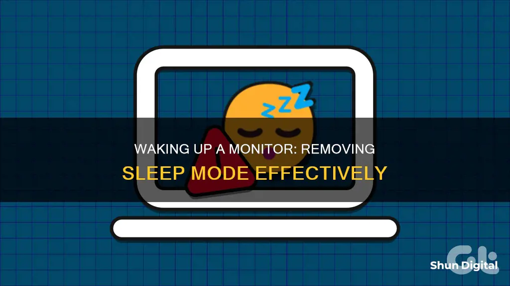 how to remove monitor from sleep mode