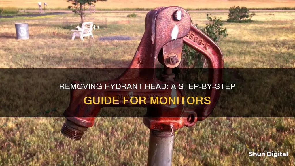 how to remove monitor hydrand head