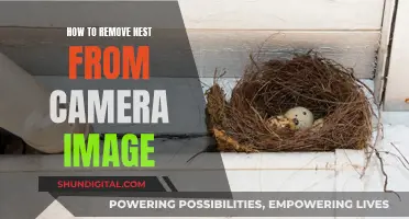 Removing Nests from Camera Images: A Step-by-Step Guide