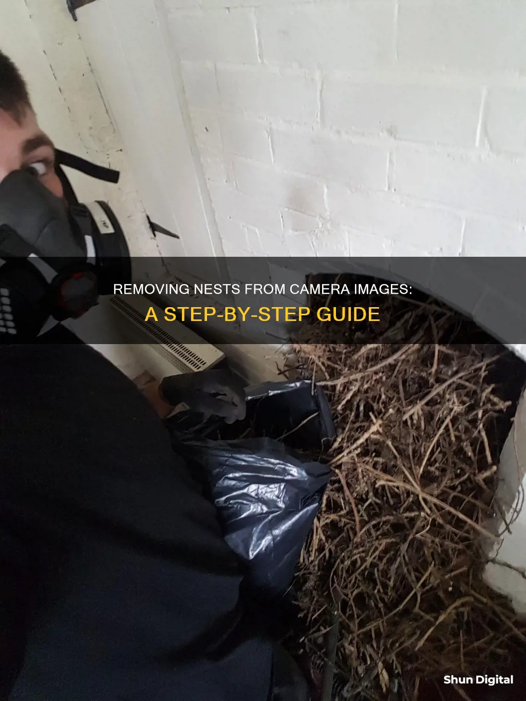 how to remove nest from camera image