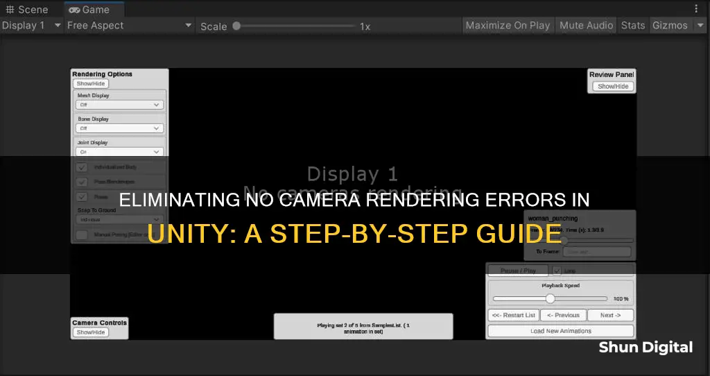 how to remove no camera rendering from unity