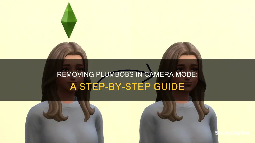 how to remove plumbobs in camera mode