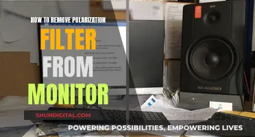 Removing Polarization Filters: Monitor Maintenance Guide