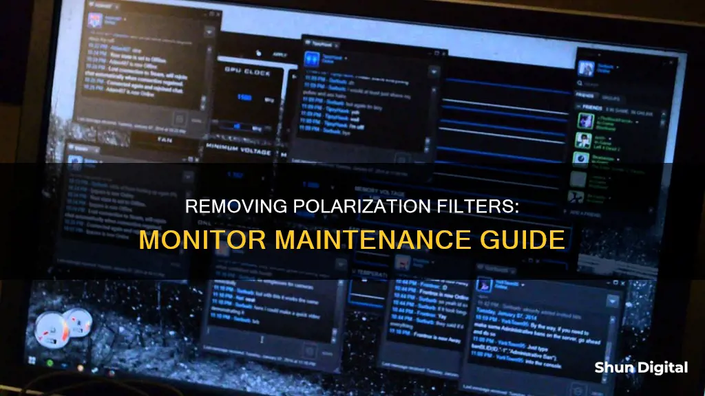 how to remove polarization filter from monitor