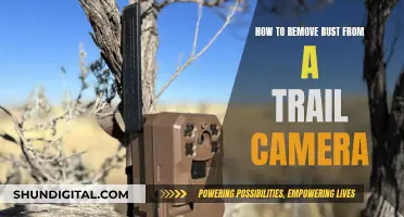 Removing Rust from Your Trail Camera: Effective Techniques