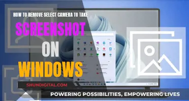 Removing Screenshot Camera Toggle on Windows