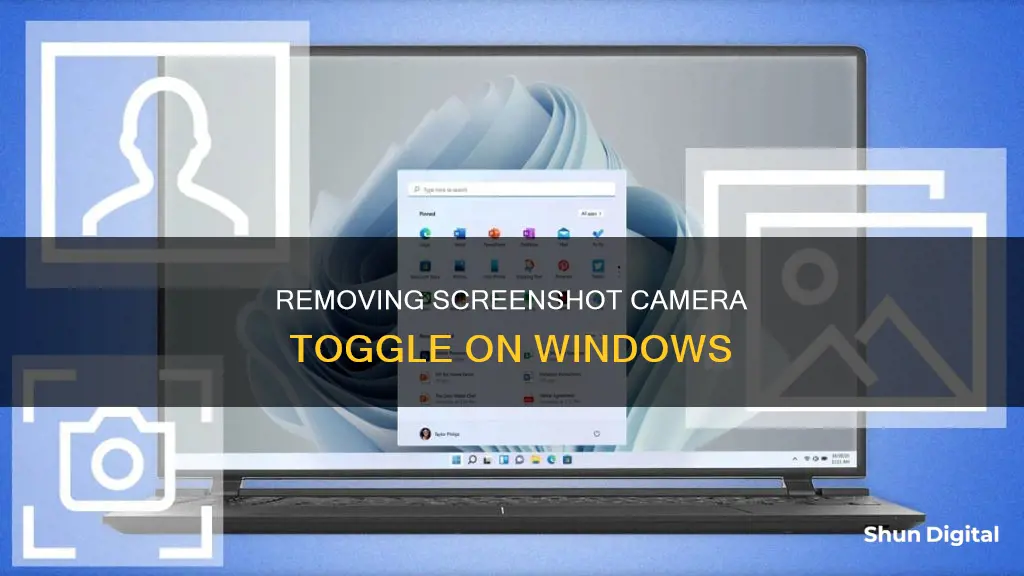 how to remove select camera to take screenshot on windows