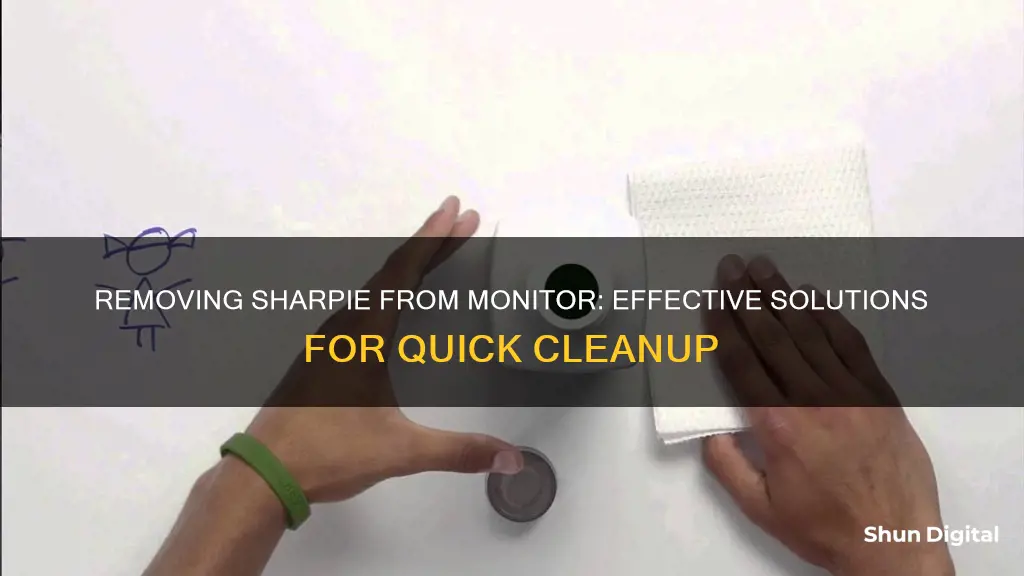 how to remove sharpie from monitor