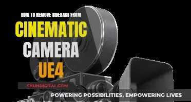 Cinematic Camera Sidebars: Removing Them in UE4