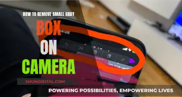 Eliminating the Small Gray Box on Your Camera View