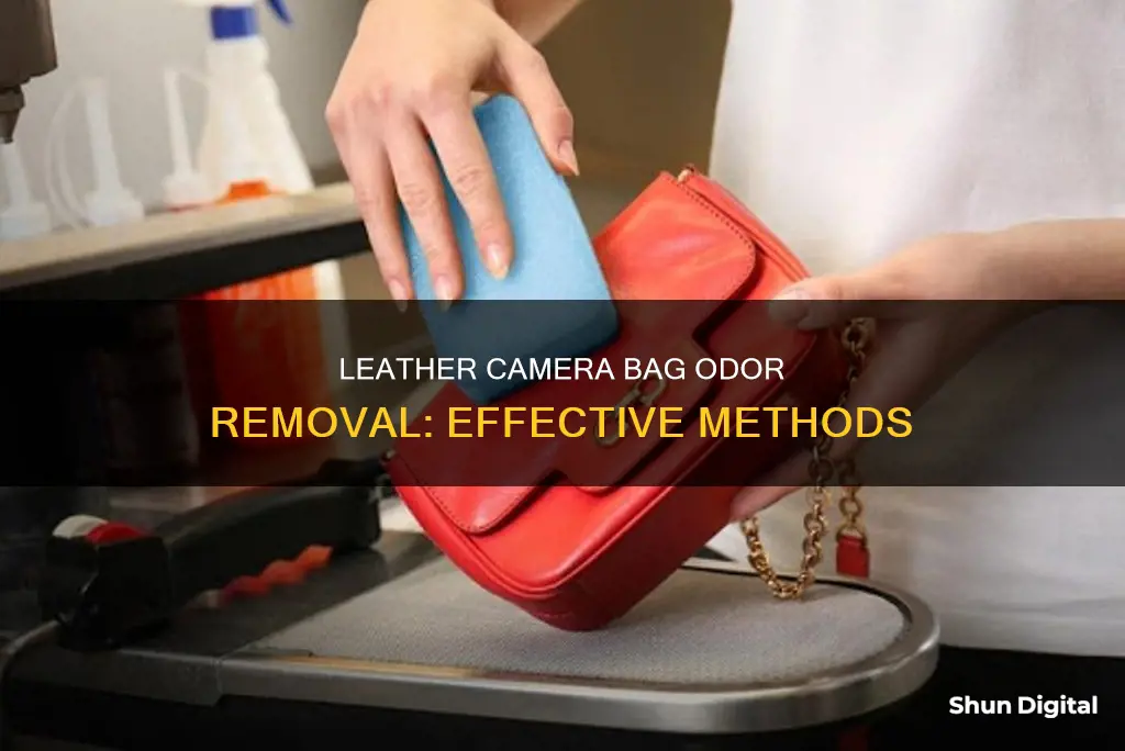 how to remove smell from old leather camera bag