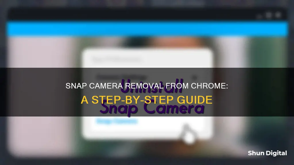 how to remove snap camera from chrome