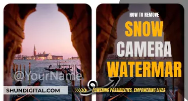 Removing Snow Camera Watermark: A Step-by-Step Guide