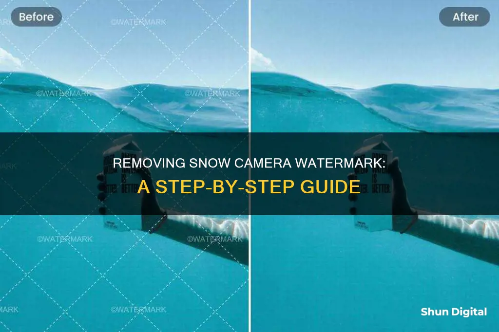 how to remove snow camera watermark