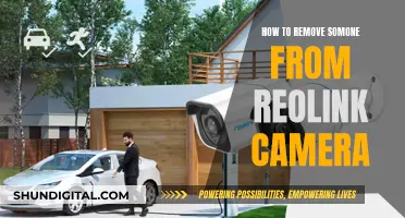 Removing Users from Reolink Cameras: A Step-by-Step Guide