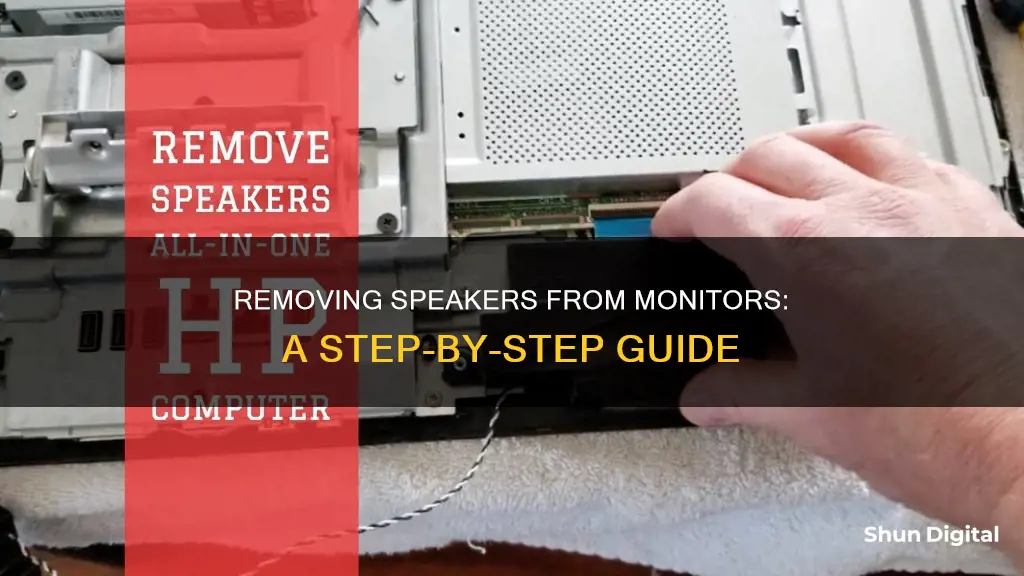 how to remove speaker from monitor