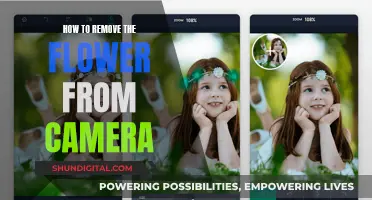 Clear Camera View: Removing Flowers for Better Shots