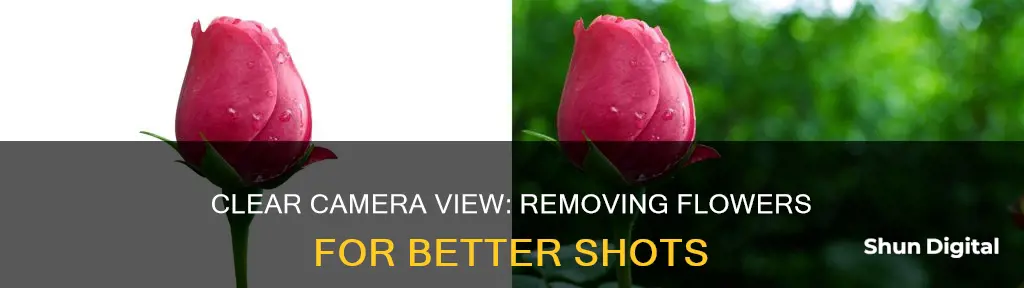 how to remove the flower from camera