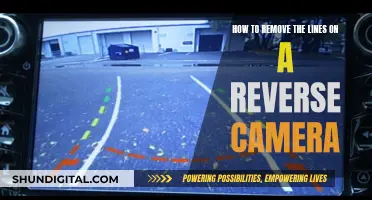 Clear Vision: Eliminating Reverse Camera Interference