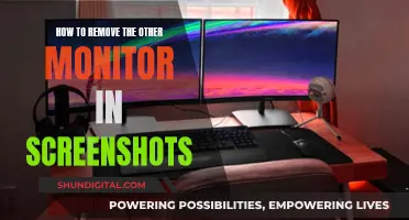 Monitor Screenshots: Remove the Other Monitor Easily
