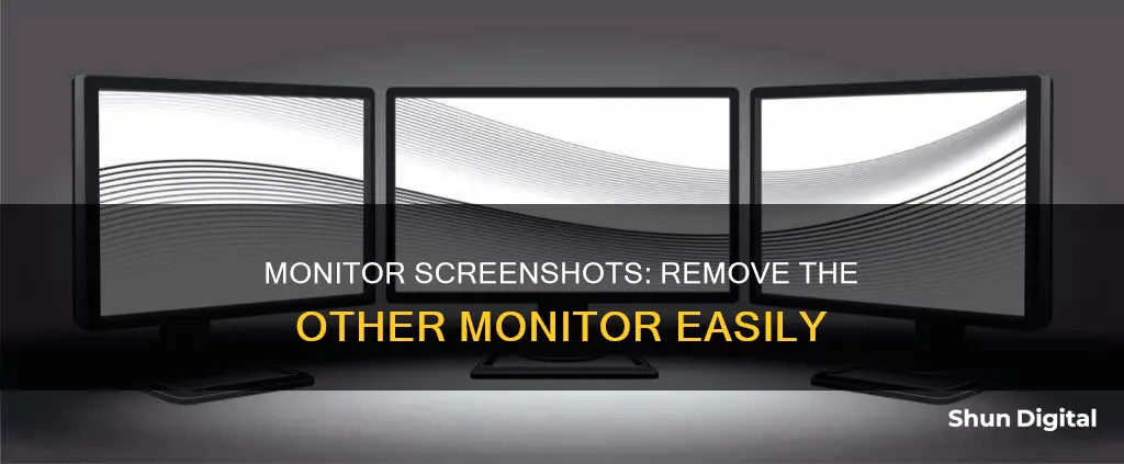 how to remove the other monitor in screenshots