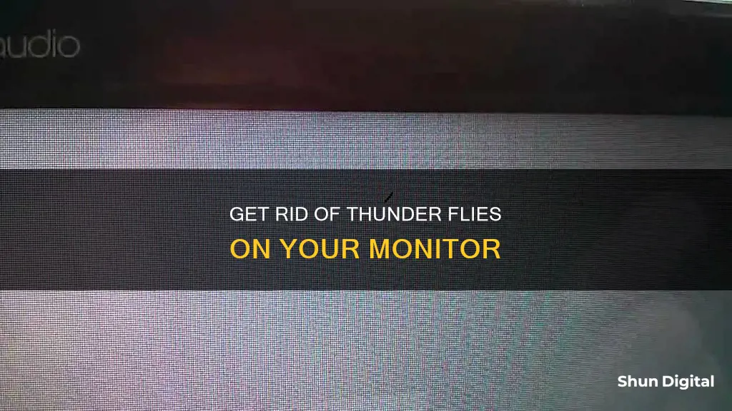 how to remove thunder flies from monitor