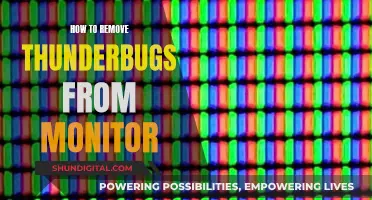 Removing Thunderbugs: Monitor Maintenance for a Bug-Free Screen