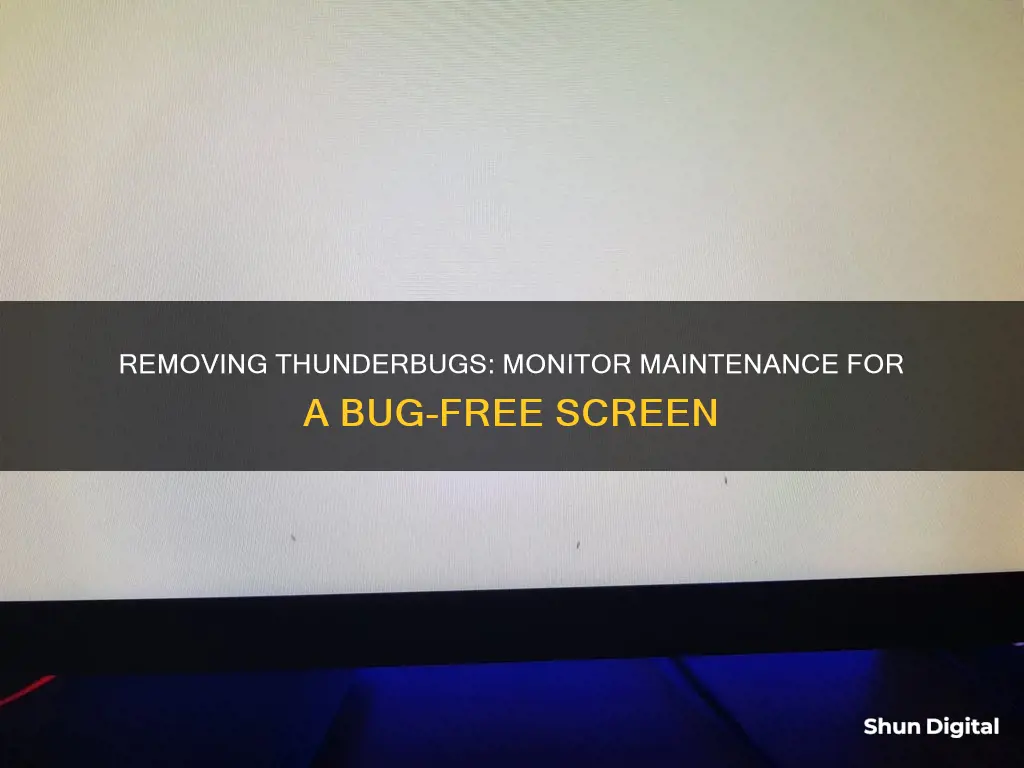 how to remove thunderbugs from monitor