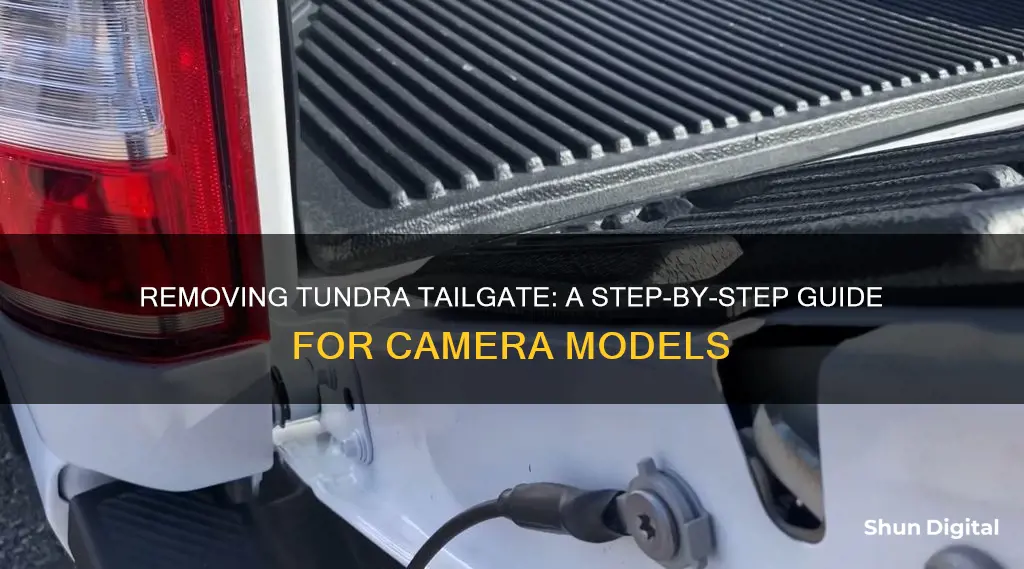 how to remove tundra tailgate with camera