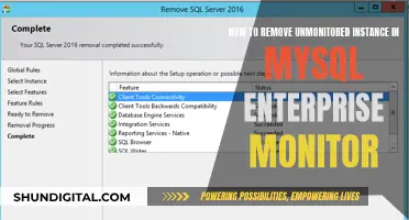 Removing Unmonitored MySQL Instances: A Comprehensive Guide