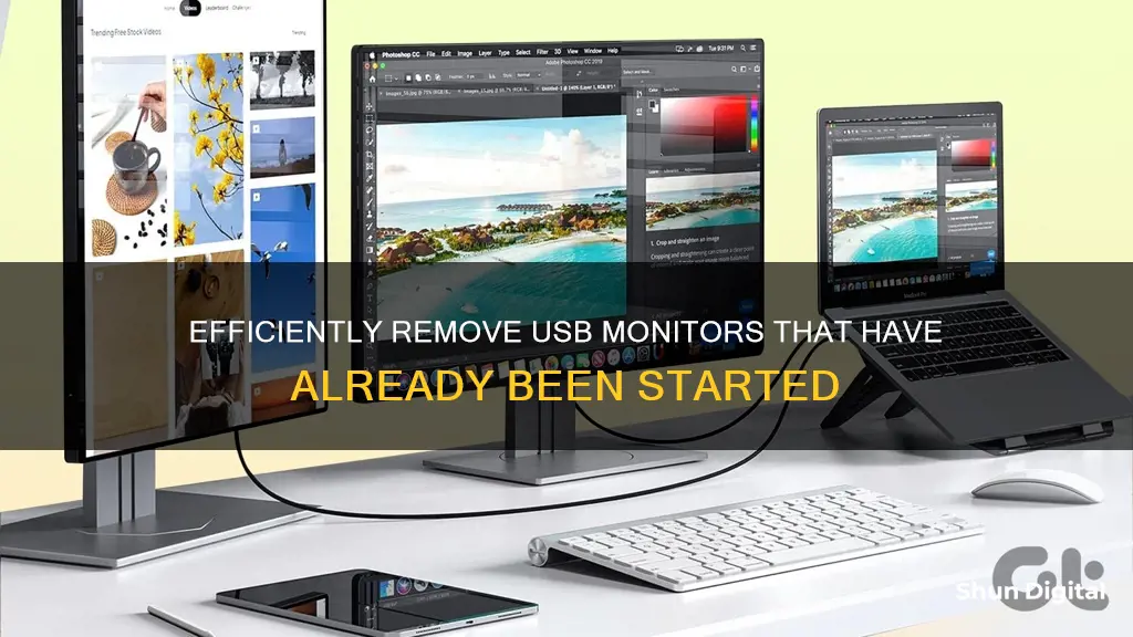 how to remove usb monitor have already started