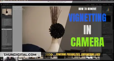 Eliminating Camera Vignetting: Techniques for Flawless Photography