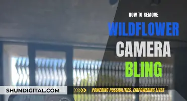 Eliminating Wildflower Camera Bling: A Step-by-Step Guide