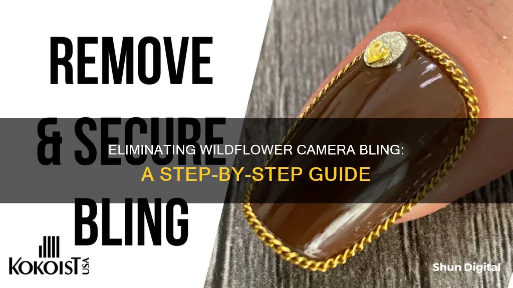 how to remove wildflower camera bling