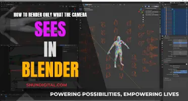 Rendering Camera View in Blender: A Guide to Camera Viewport Rendering