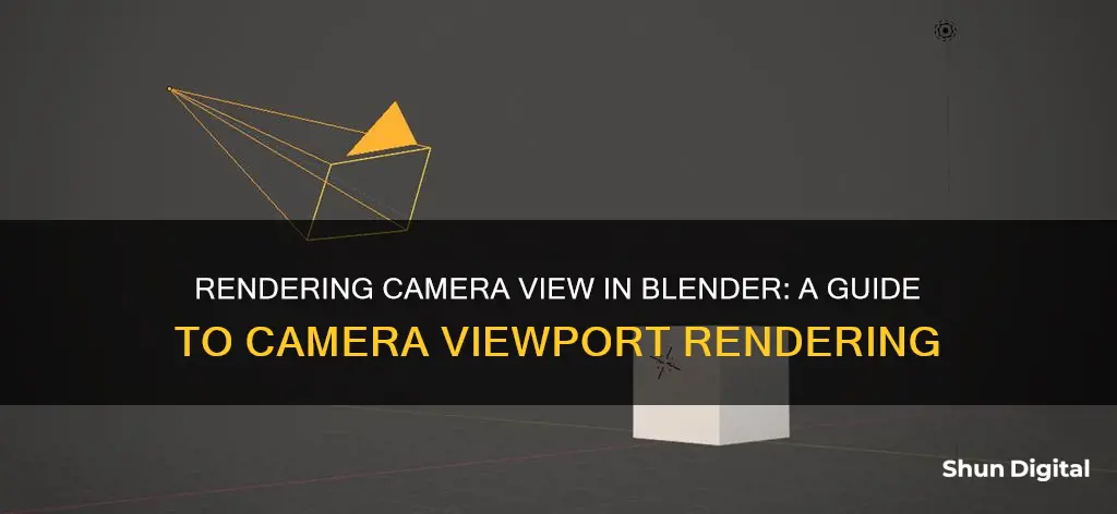 how to render only what the camera sees in blender