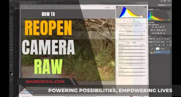 Unlocking Camera Raw: A Quick Guide to Reopening