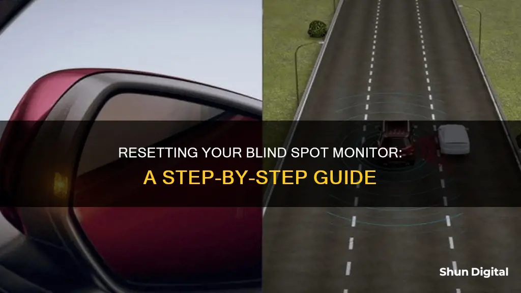 how to reset blind spot monitor