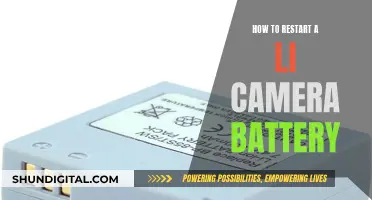 Restarting Li-ion Camera Battery: Quick Guide