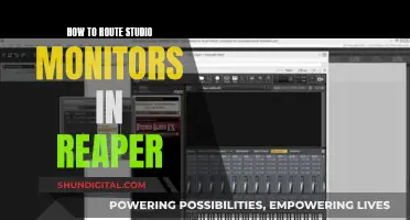 The Ultimate Guide to Routing Studio Monitors in Reaper