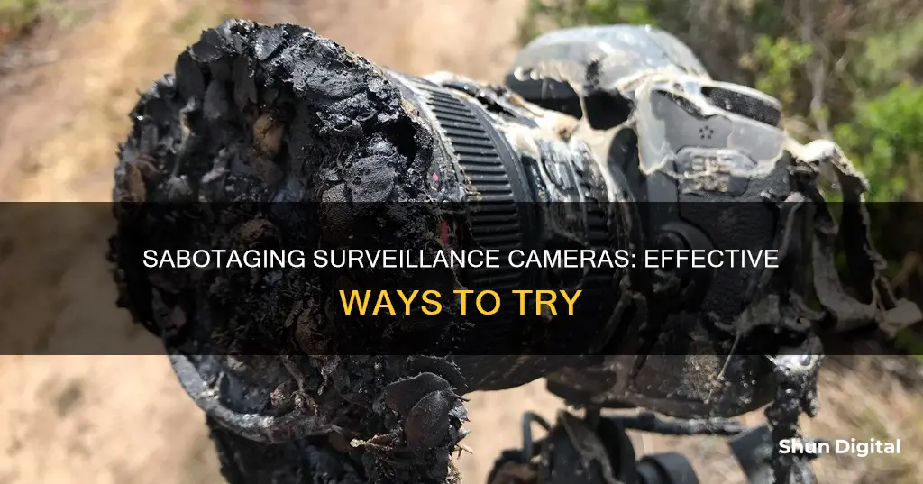 how to sabotage surveillance cameras