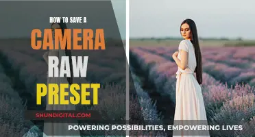 Creating Custom Camera Raw Presets: A Step-by-Step Guide