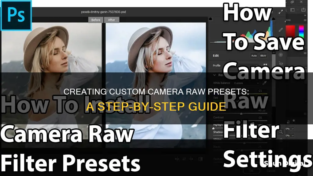 how to save a camera raw preset