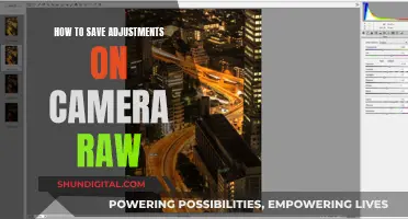 Mastering Camera Raw: Saving Adjustments Like a Pro