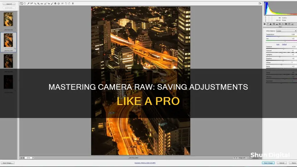 how to save adjustments on camera raw