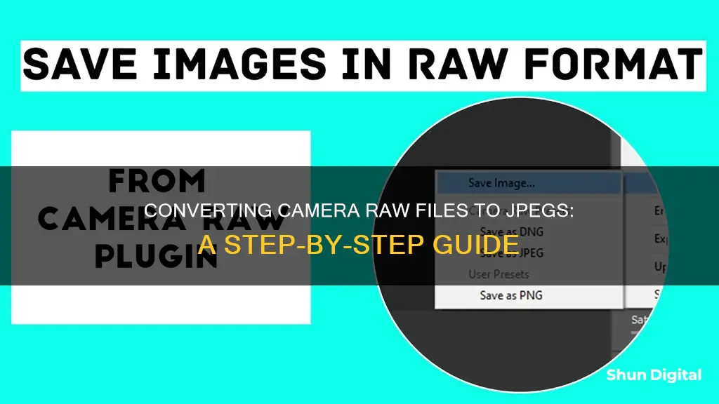 how to save camera raw as jpeg