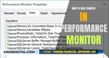 Performance Monitor: Saving Custom Counters for Future Use